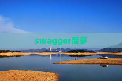 swagger菠萝 swagger菠萝